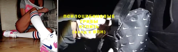индика Белоозёрский