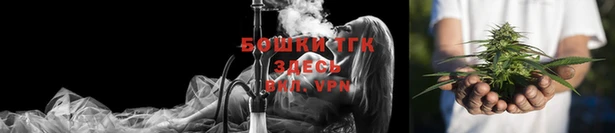 индика Белоозёрский