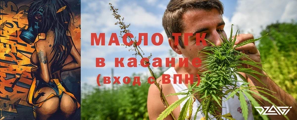 индика Белоозёрский