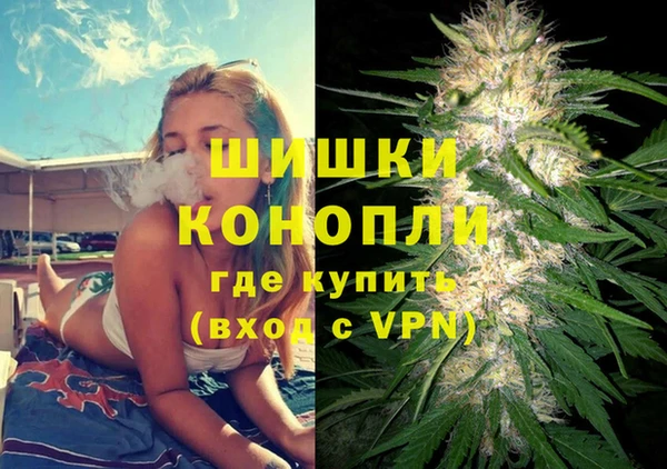 индика Белоозёрский