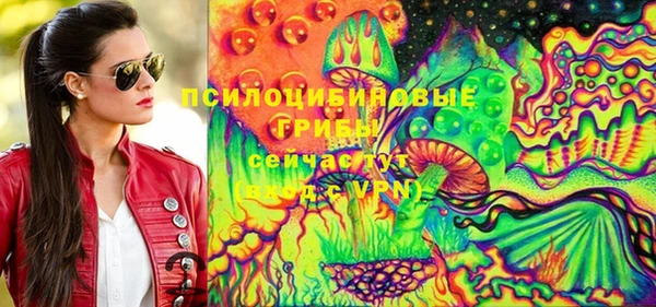индика Белоозёрский