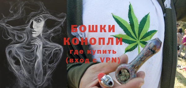 индика Белоозёрский