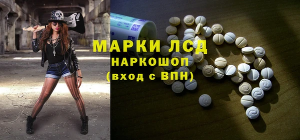 индика Белоозёрский